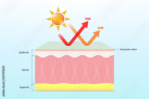 UV Protection. Sunscreen lotion protects against UVA and UVB rays from damaging the skin layer.