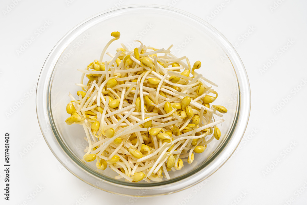 ナムルやスープにするとおいしい大豆もやし ナムルやスープにするとおいしい大豆もやし