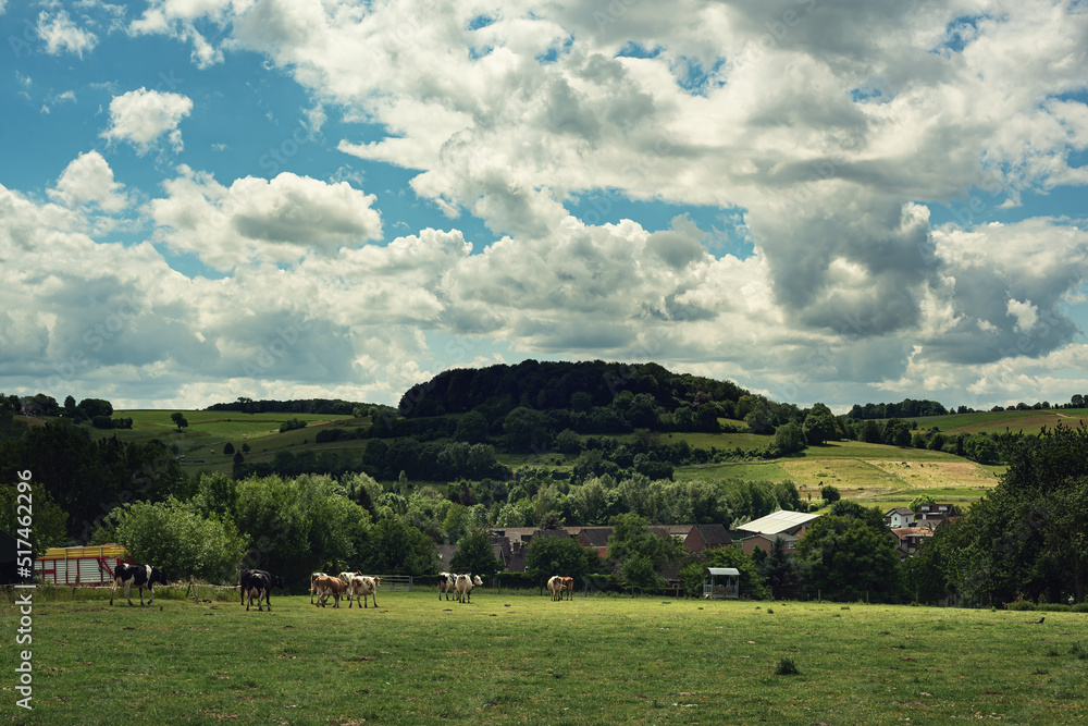 Farmland with cattle, trees and some houses in a rolling landscape under a blue cloudy sky.