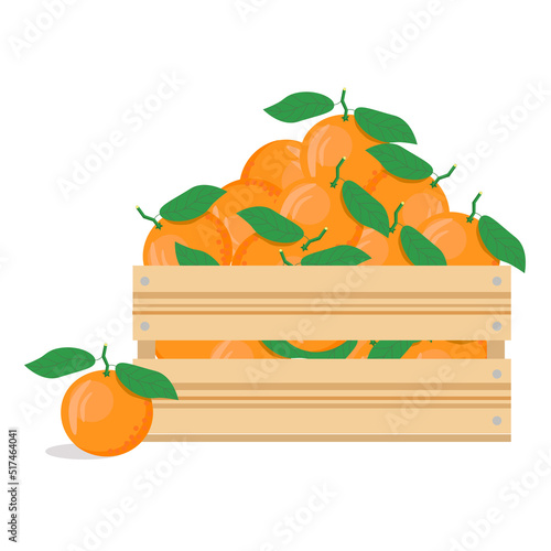 Tangerines in a wooden box on a white background.Vector illustration of citrus fruits.Harvesting.