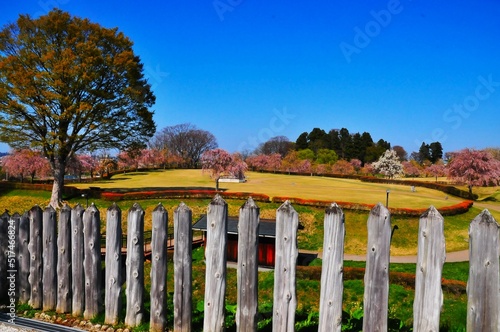 八戸市の根城城址
