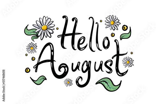 Vector Hand drawn typography lettering phrase Hello August with Daisy. isolated on the white background. Fun calligraphy for typography greeting and invitation card. New Month Greeting Design Element