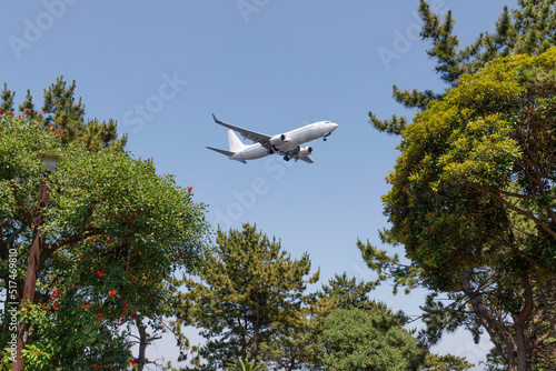 青空を背景に木々の隙間から現れた着陸態勢に入った飛行機