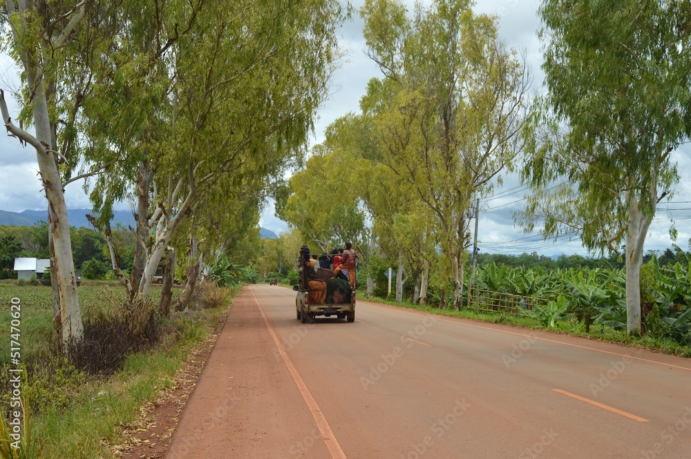 Obraz premium bus on the road in the countryside
