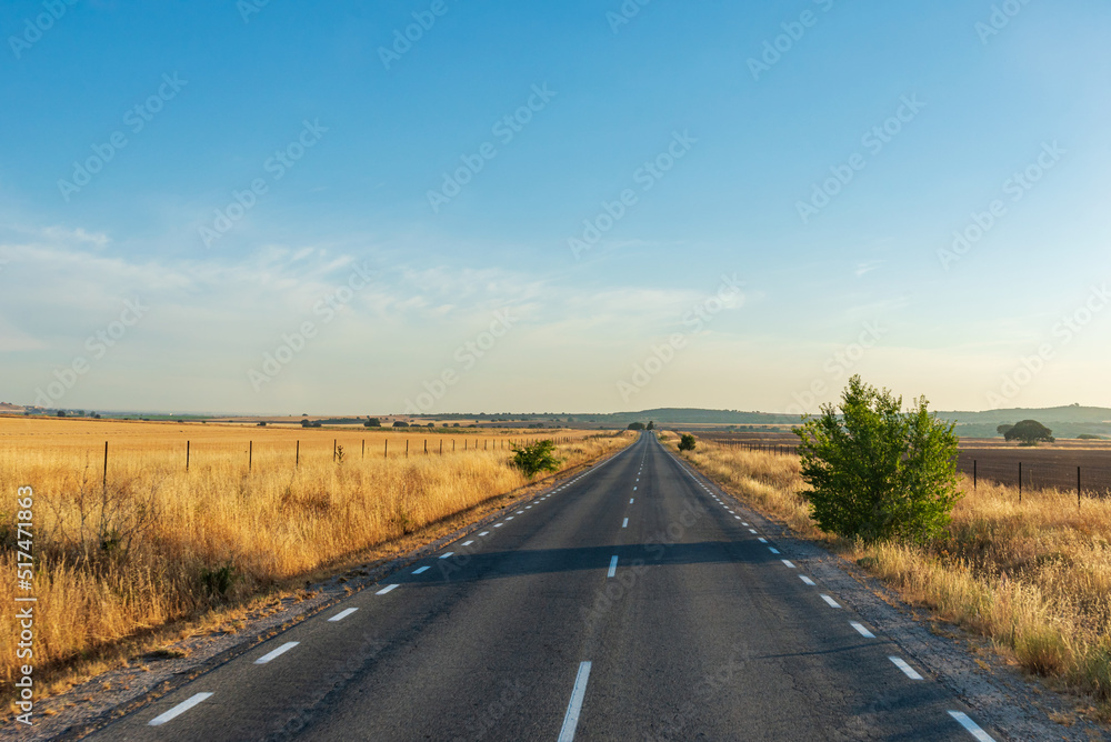 Straight of a regional road between cereal fields in Castilla la Mancha, Spain. Straight of a regional road between cereal fields in Castilla la Mancha, Spain.