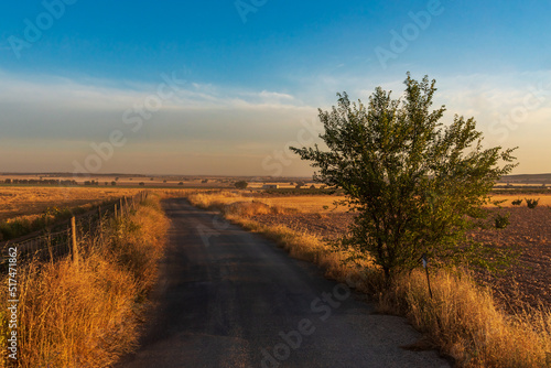Rural road at dawn between farm fields in the community of Castilla la Mancha, Spain.