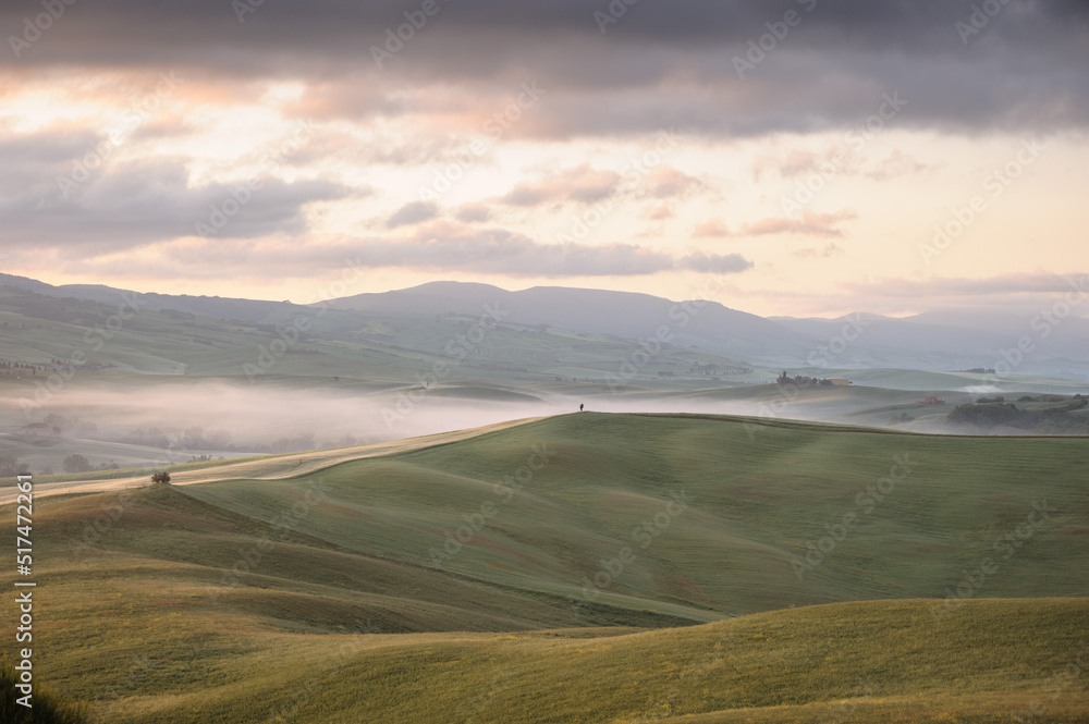 Fototapeta premium Mglisty poranek w Val d'Orcia Toskania