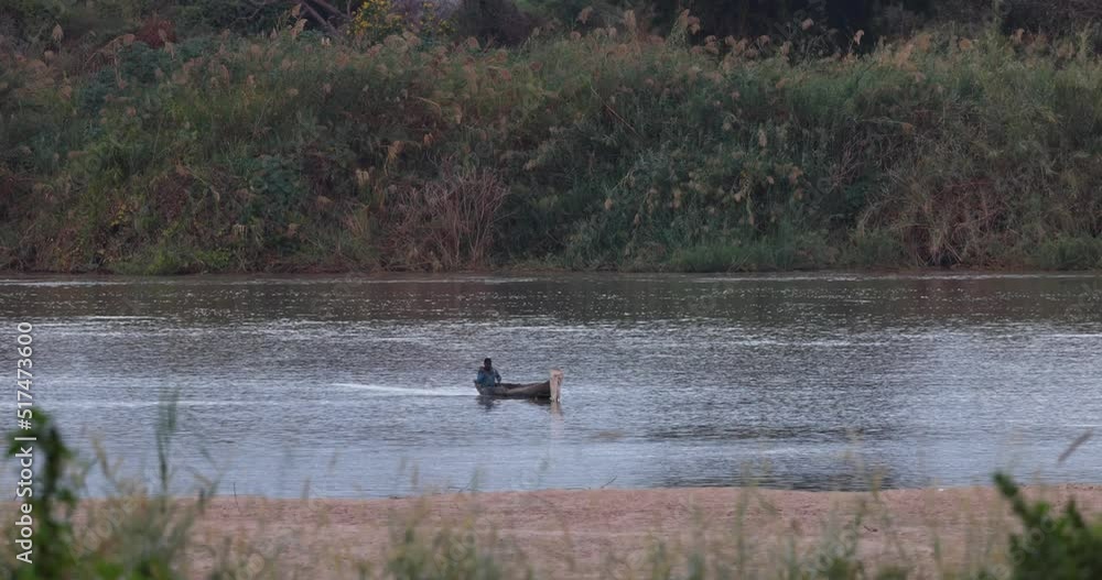 Hippos in the water along the Rufiji River in Tanzania Hippos in the water along the Rufiji River in Tanzania
