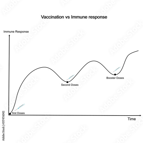 The correlation graph between immune response and the  doses number of vaccination: first, second and booster doses