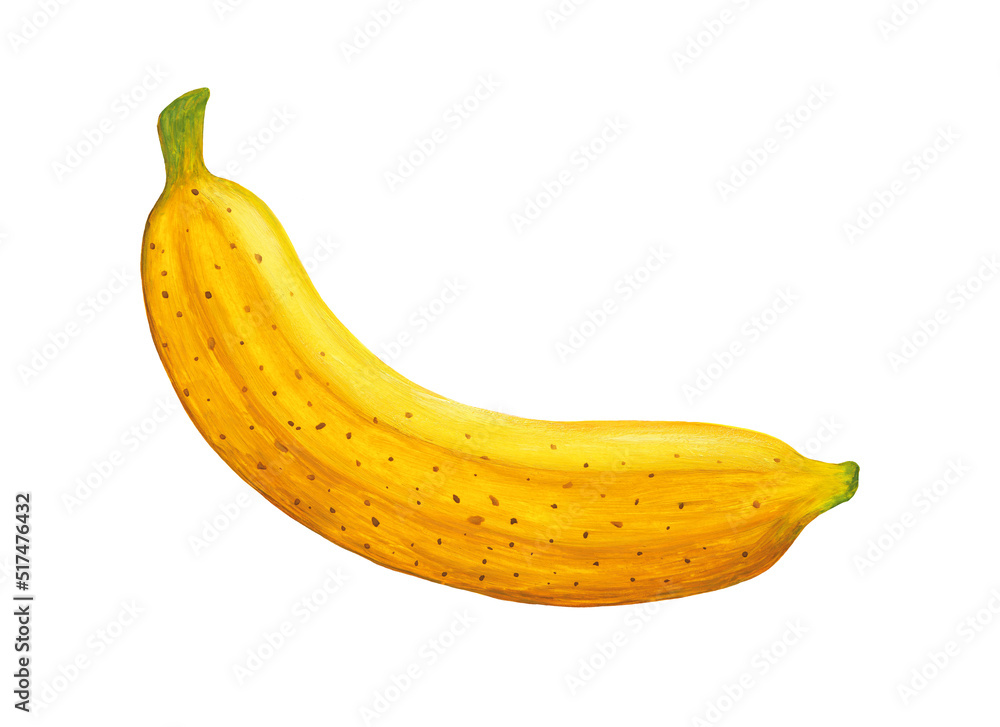 whole ripe ripe banana with specks hand drawn in realistic style and isolated on white