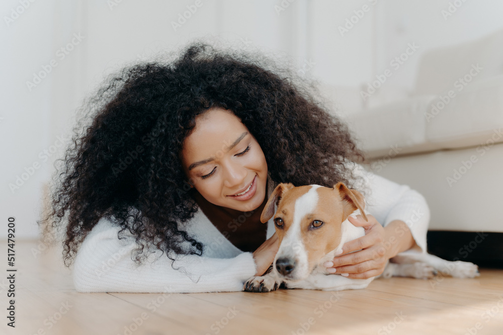 Relaxed Afro woman with crisp dark hair lies on floor, plays with cute puppy, has fun with jack russell terrier dog wears white sweater being in living room. Happy owner petting lovely domestic animal Relaxed Afro woman with crisp dark hair lies on floor, plays with cute puppy, has fun with jack russell terrier dog wears white sweater being in living room. Happy owner petting lovely domestic animal