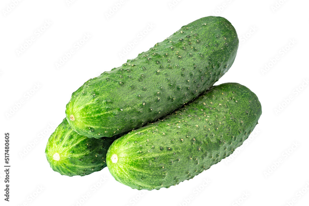Isolated cucumber. Fresh organic cucumber isolated on white background. File contains clipping path. Isolated cucumber. Fresh organic cucumber isolated on white background. File contains clipping path.