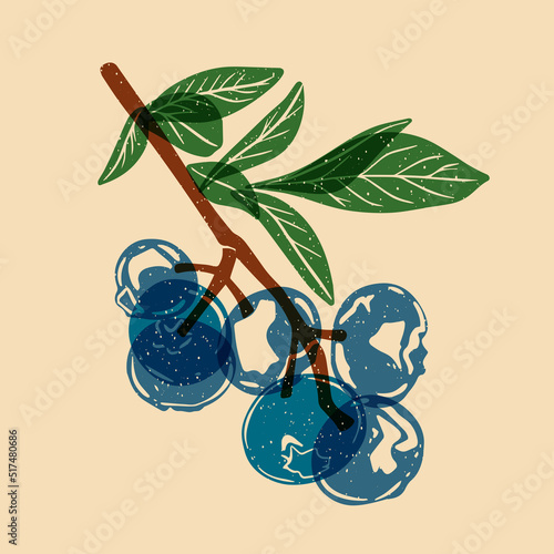 Branch with blueberries. Vector illustration with Riso print effect.