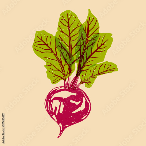 Juicy red beet. Vector illustration with Riso print effect