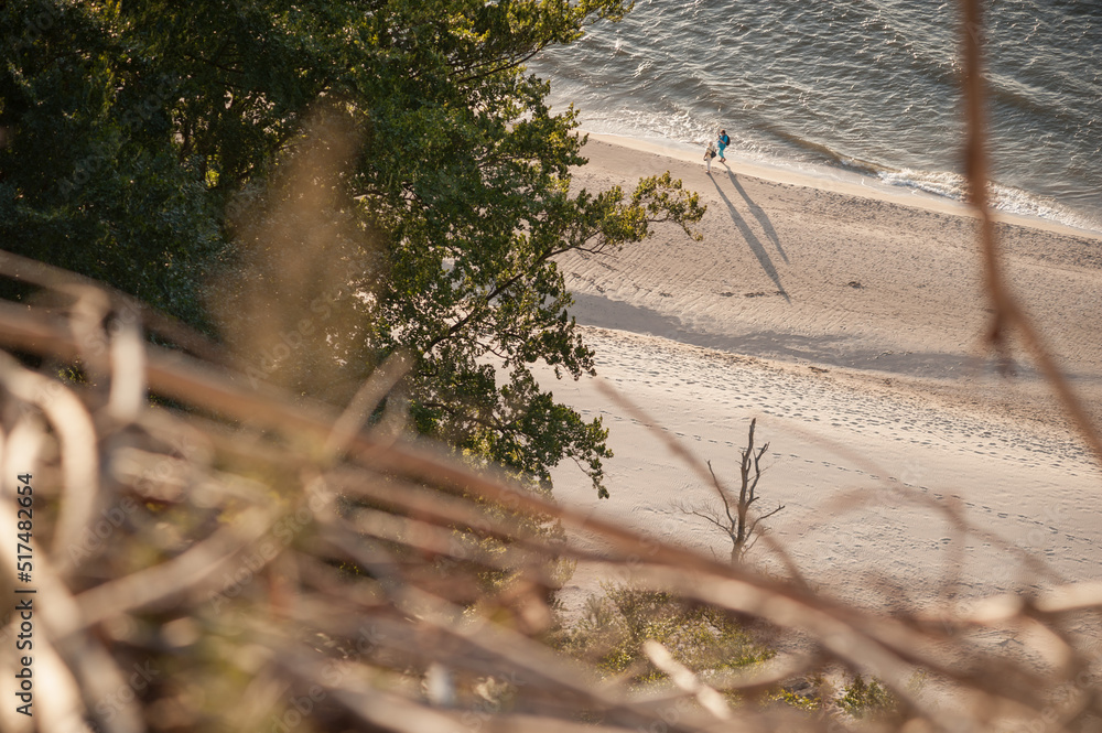Plaża nad morzem Bałtyckim, widok z klifu - obrazy, fototapety, plakaty 