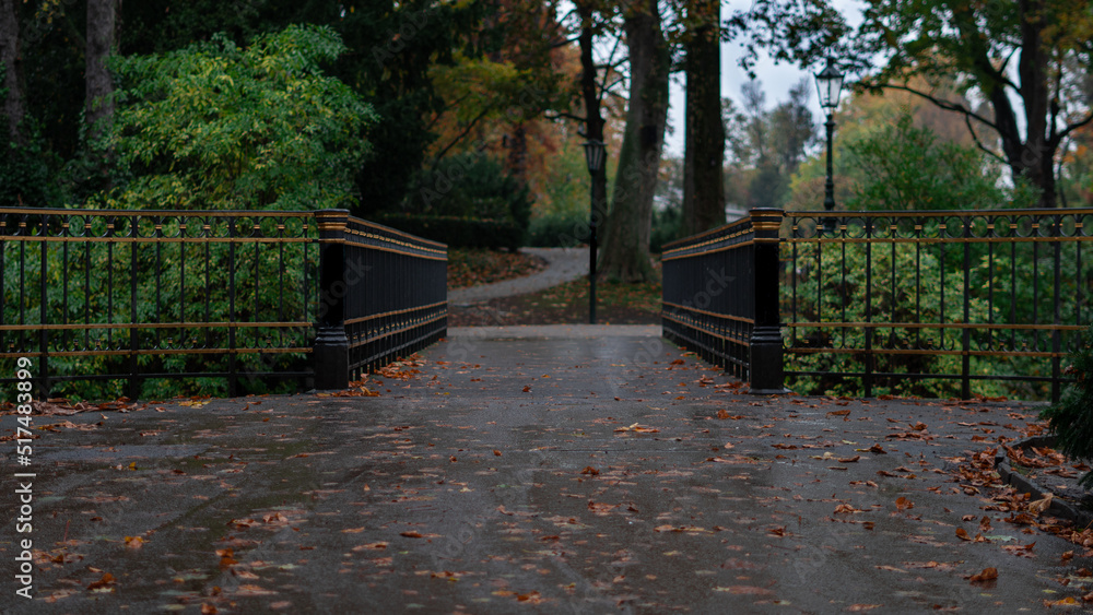 bridge in a park with a golden railing bridge in a park with a golden railing