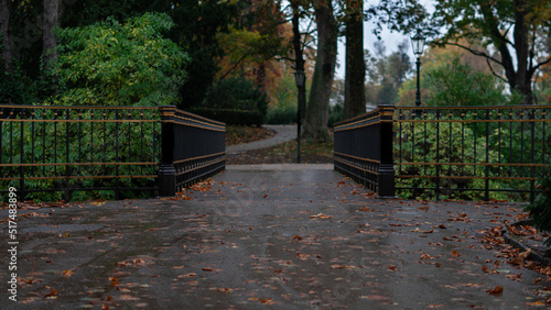 bridge in a park with a golden railing