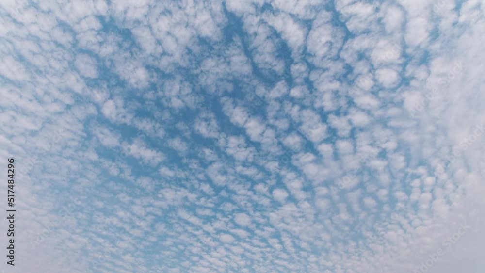 Time lapse of rolling puffy clouds moving, Altocumulus translucidus clouds time lapse. Clouds looks like scales running across the blue sky. 4k Timelapse of white clouds with blue sky background. Time lapse of rolling puffy clouds moving, Altocumulus translucidus clouds time lapse. Clouds looks like scales running across the blue sky. 4k Timelapse of white clouds with blue sky background.