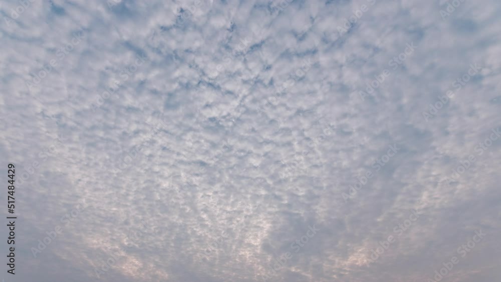 Time lapse of rolling puffy clouds moving, Altocumulus translucidus clouds time lapse. Clouds looks like scales running across the blue sky. 4k Timelapse of white clouds with blue sky background. Time lapse of rolling puffy clouds moving, Altocumulus translucidus clouds time lapse. Clouds looks like scales running across the blue sky. 4k Timelapse of white clouds with blue sky background.