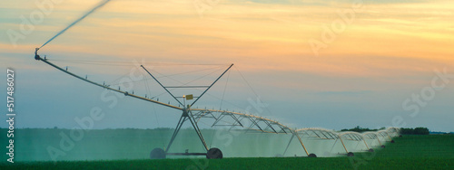 Agricultural irrigation system watering corn field in summer © Solid photos