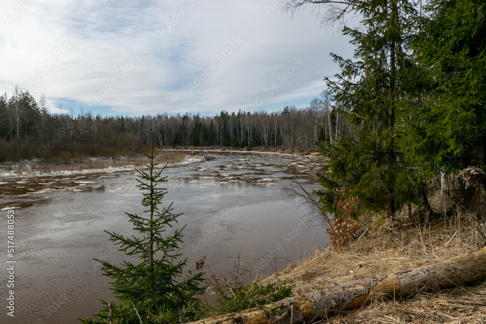 river in early spring, ice river, Gauja river near Cesis, Latvia river in early spring, ice river, Gauja river near Cesis, Latvia