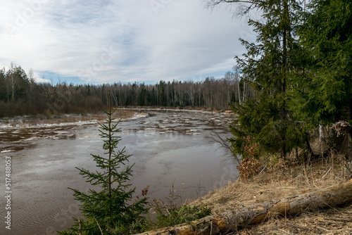 river in early spring, ice river, Gauja river near Cesis, Latvia