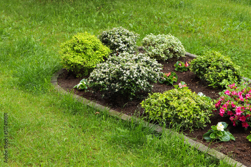 Obraz na plátně Beautiful flowerbed with different plants outdoors