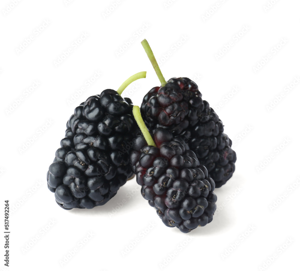 Three ripe black mulberries on white background Three ripe black mulberries on white background