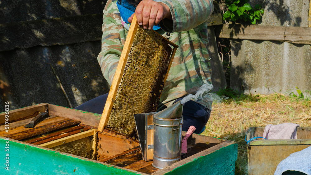 The beekeeper works in the apiary. Beehive and honey production. The beekeeper works in the apiary. Beehive and honey production.