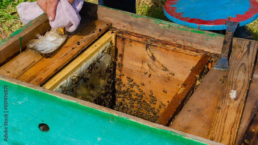The beekeeper works in the apiary. Beehive and honey production. The beekeeper works in the apiary. Beehive and honey production.