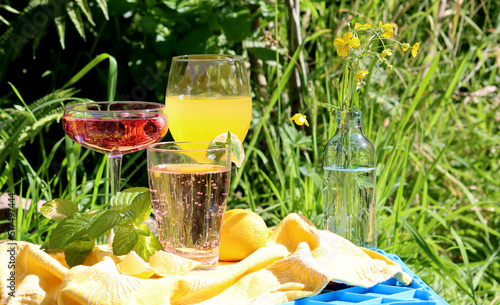Mango, strawberry cocktails and rose lemonade on a garden table. Summer cocktails close up photo. Refreshing drinks in different glasses. 