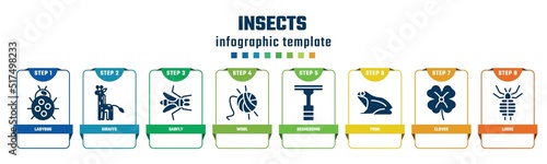 insects concept infographic design template. included ladybug, giraffe, gadfly, wool, deshedding, frog, clover, louse icons and 8 options or steps.
