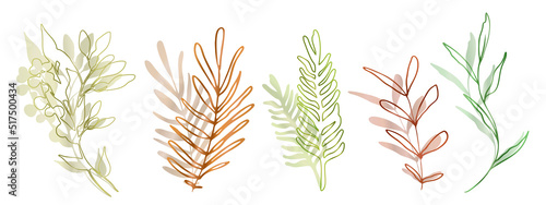Hand drawn colorful plant set modern and universally usable. Flower branch and minimalistic plants. Hand drawn lines  elegant leaves for your own design. Botanical  chic and trendy plants.