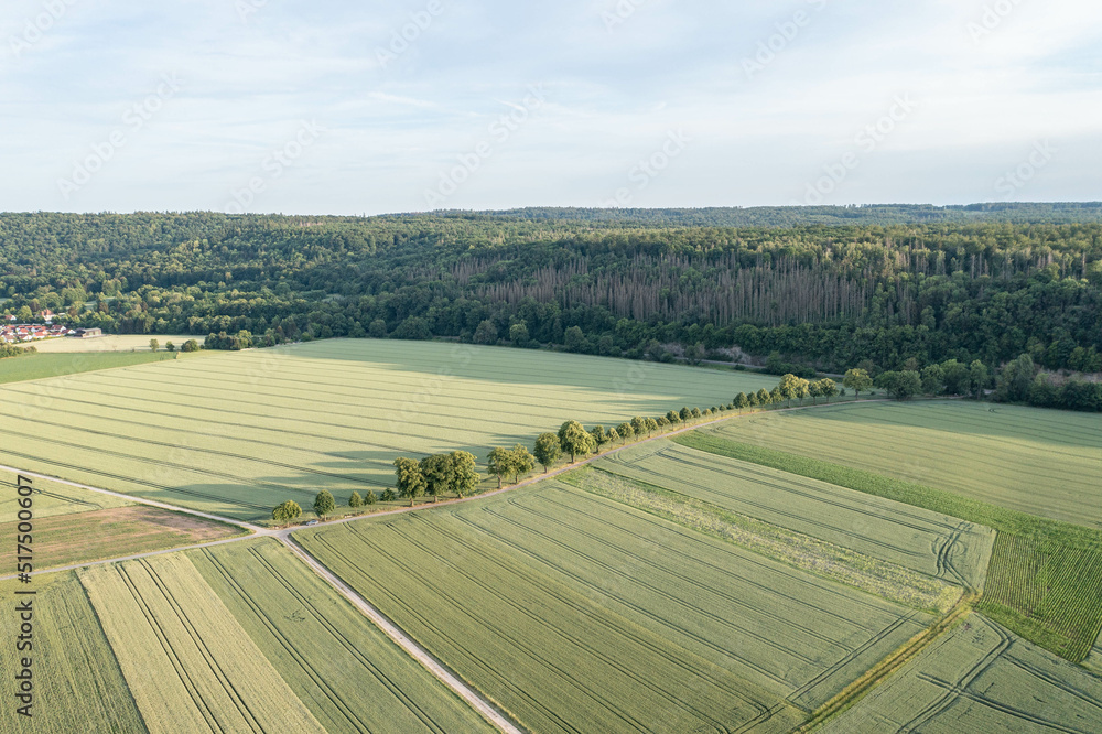 Landscape and panorama view of drone Landscape and panorama view of drone