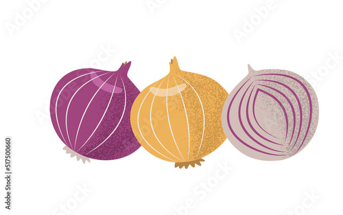 Three deffernet onions in flat style with grainy texture, hand drawn vector illustration, isolated on white background