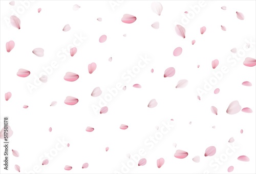 Cherry petals backdrop. Sakura petals background.