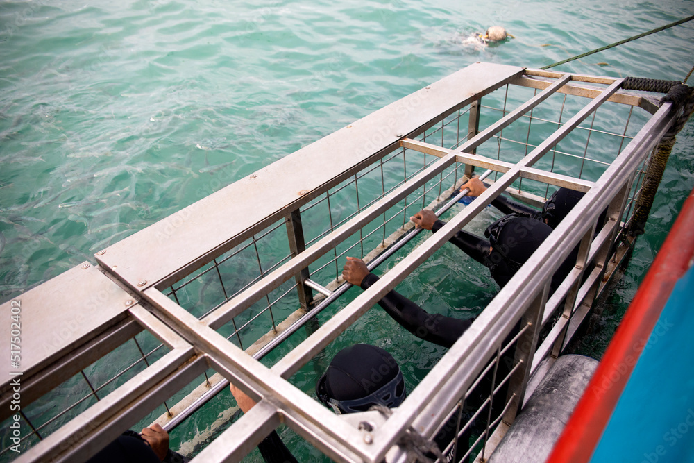 People in a shark observation cage on a boat in the shark alley near ...