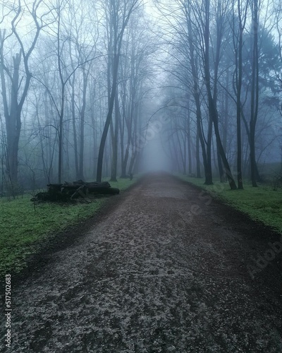 road in the fog © Krzysztof