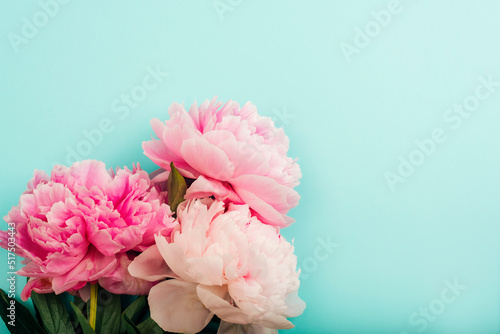 Fototapeta Naklejka Na Ścianę i Meble -  Pink peony flowers on light blue background with copy space. Top view
