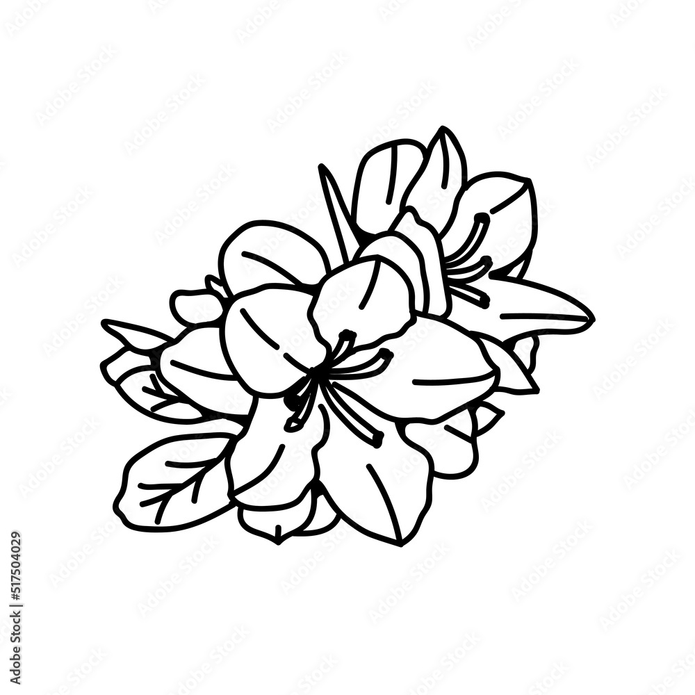 Sketch flower line art Sketch flower line art