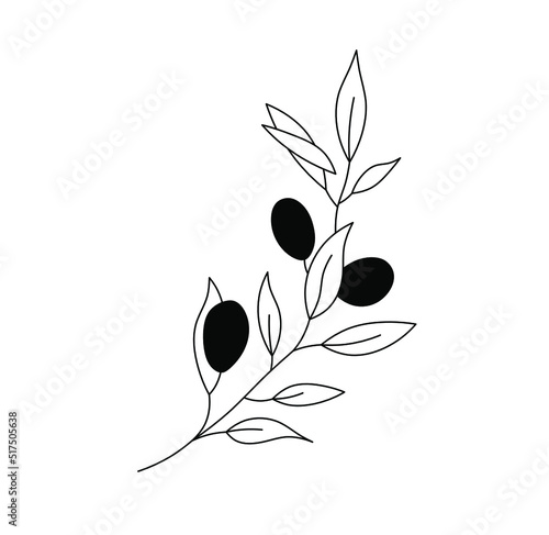 Vector isolated one olive branch with black olives colorless black and white contour line drawing