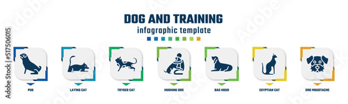 dog and training concept infographic design template. included pug, laying cat, toyger cat, hughing dog, bas houd, egyptian cat, dog moustache icons and 7 option or steps.