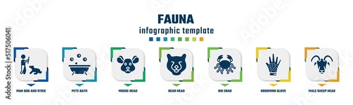 fauna concept infographic design template. included man dog and stick, pets bath, mouse head, bear head, big crab, grooming glove, male sheep head icons and 7 option or steps.