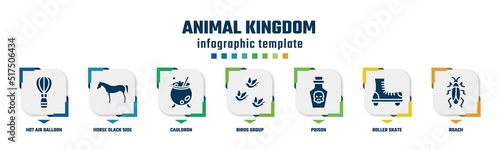 animal kingdom concept infographic design template. included hot air balloon, horse black side shape, cauldron, birds group, poison, roller skate, roach icons and 7 option or steps.