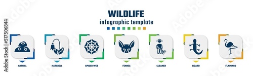 wildlife concept infographic design template. included anthill, harebell, spider web, fennec, cleaner, lizard, flamingo icons and 7 option or steps.