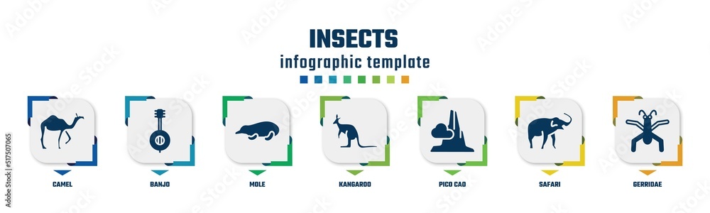 insects concept infographic design template. included camel, banjo, mole, kangaroo, pico cao, safari, gerridae icons and 7 option or steps.