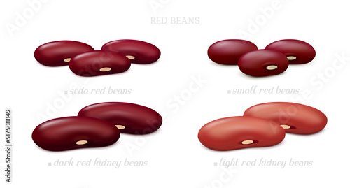 Groups of red beans (Seda, small, dark and light kidney) isolated on white background. Side view. Realistic vector illustration.