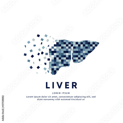 Human liver medical structure. Creative simple Pixel art Vector logo liver silhouette on a dark background. liver care logo vector template suitable for organization, company, or community. EPS 10