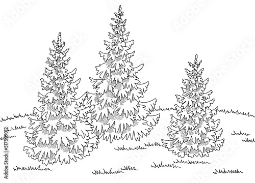 Forest glade graphic black white landscape sketch illustration vector 