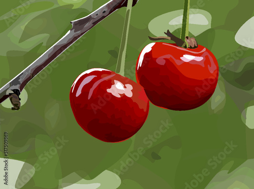 Two red cherries on a green background. vector image